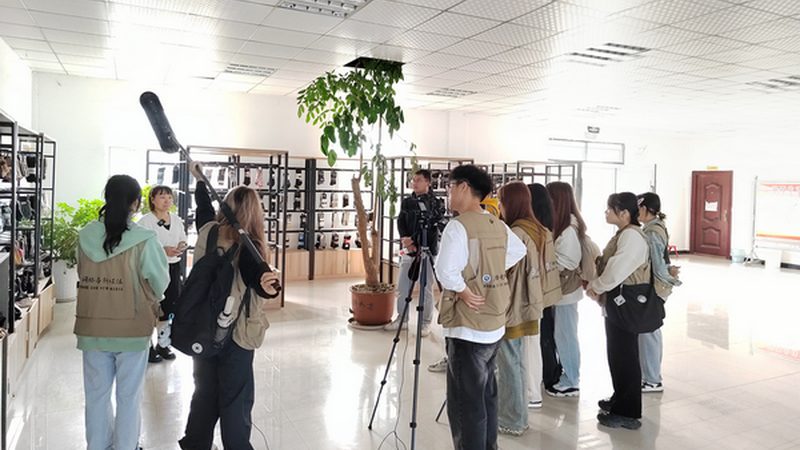 代运营短视频与自运营长期效果对比