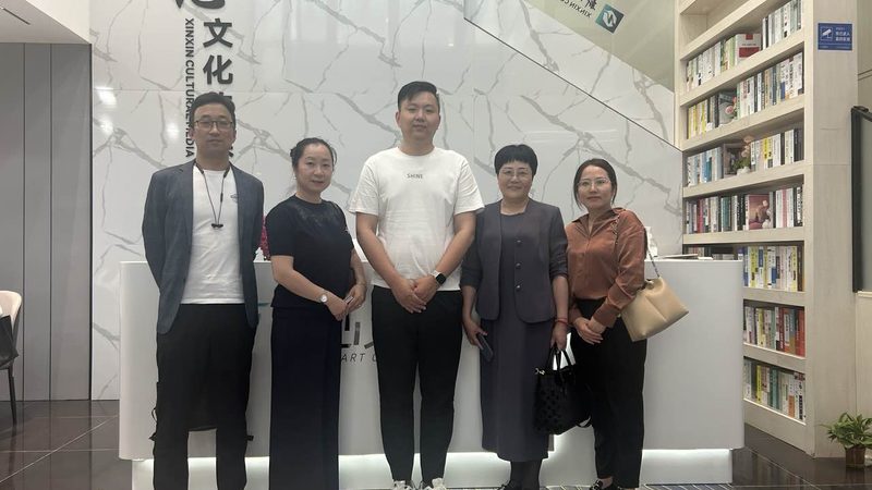 媒介投放策略制定：行业案例解析**