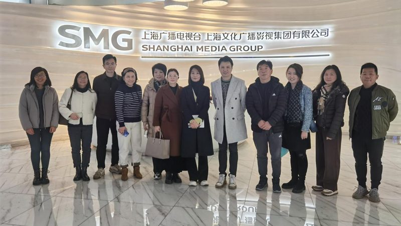 VI设计制作费用的考量因素与误区**