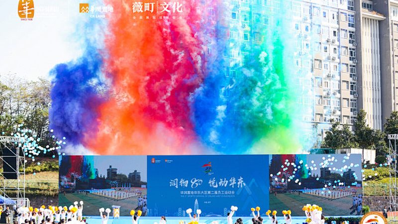 品牌策划公司定价揭秘：不只是数字的游戏